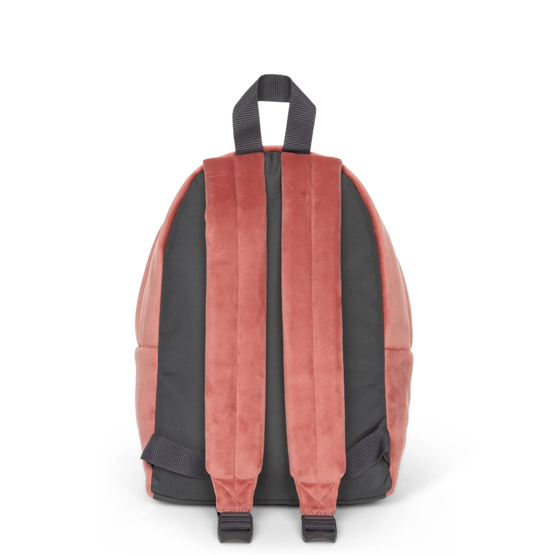 Eastpak - Padded Pak'R Backpack (7ZNEGT1) 7 Eastpak - Padded Pak'R Backpack (7ZNEGT1) - Image 5