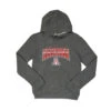 Outerstuff Kids' (Junior) Arizona Wildcats Chromed Out Hoodie (KZ8ALLFR 88) 1 Outerstuff Kids' (Junior) Arizona Wildcats Chromed Out Hoodie (KZ8ALLFR 88) -SVP Sports Sale Kids Junior Arizona Chromed Out Hoodie KZ8ALLFR 88 01