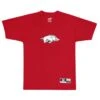 Outerstuff Kids' (Junior) Arkansas Razorbacks Performance T-Shirt (KN48NG170)