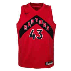 Nike NBA - Kids' Toronto Raptors Pascal Siakam Icon Jersey (HZ2B3BX6P00 RAPPS)