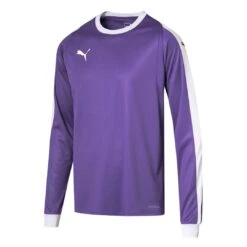 Puma - Kids' (Junior) Liga Goalkeeper Jersey (703443 10)
