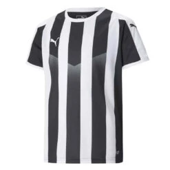 Puma - Kids' (Junior) Liga Striped Jersey (703425 03)