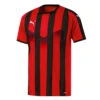 Puma - Kids' (Junior) Liga Striped Jersey (703425 23)