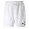 Puma - Kids' (Junior) Pitch Shorts W/o Innerbrief (702072 16-Y) -SVP Sports Sale Puma Kids Junior Pitch Short w o Innerbrief 702072 16 Y 01