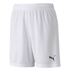 Puma - Men's Liga Core Shorts (703436 04)