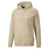 Puma - Men's Essentials Elevated Hoodie (849888 67)
