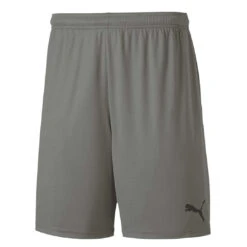 Puma - Men's Teamgoal 23 Knit Shorts (704262 13)