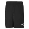 Puma - Men's Teamrise Training Shorts (657336 03) -SVP Sports Sale Puma Men s Teamrise Training Shorts 657336 03 01