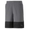 Puma - Men's Train All Day Shorts (522341 44)