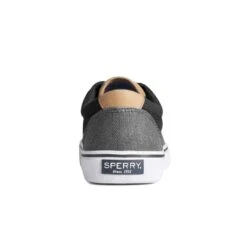 Sperry - Men's Striper II Shoes (STS23347) 8 Sperry - Men's Striper II Shoes (STS23347) -SVP Sports Sale Sperry Men s Striper II Shoes STS23347 3