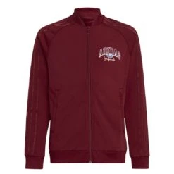 Adidas - Kids' (Junior) Collegiate Graphic Pack SST Track Top (IJ0758)