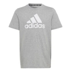 Adidas - Kids' (Junior) Essentials Big Logo Cotton T-Shirt (HR6379)