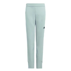 Adidas - Kids' (Junior) Z.N.E Pants (IK5715)